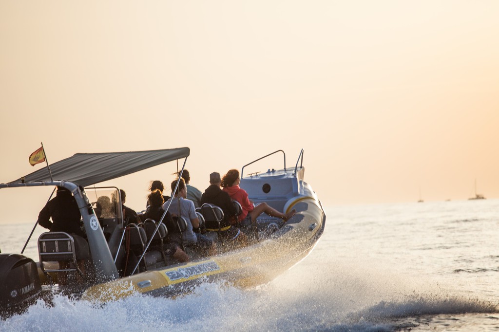 DOLPHIN WATCHING - BOAT TOUR, Port of Pollensa, Mallorca, photo 4