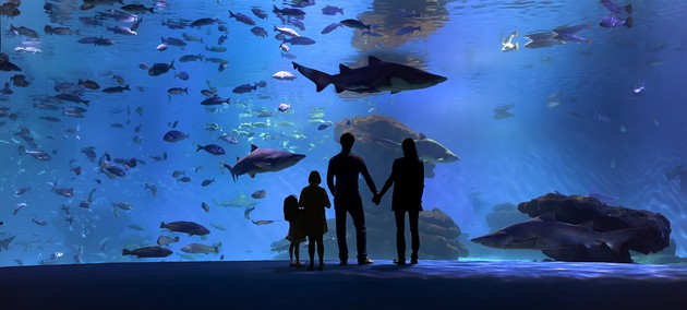 Big Blue - Panoramica - Famillia.jpg