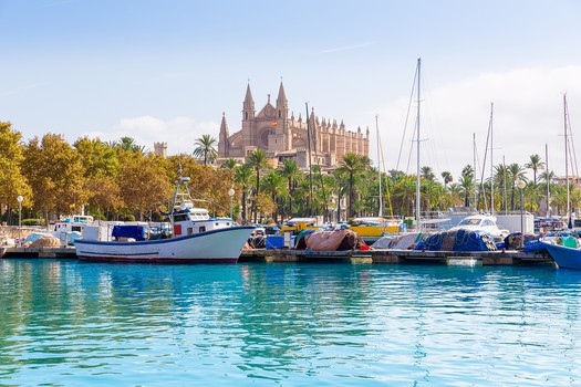 Palma City Xperience Cathedral
