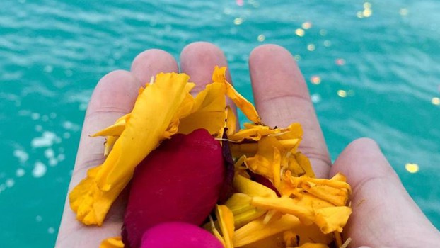 Pétalos de flores para la ofrenda de Cenizas funerarias en el mar