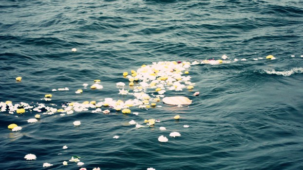 Pétalos de flor decorando el servicio de Cenizas Funerarias en el mar