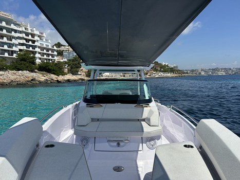 TINA VIII