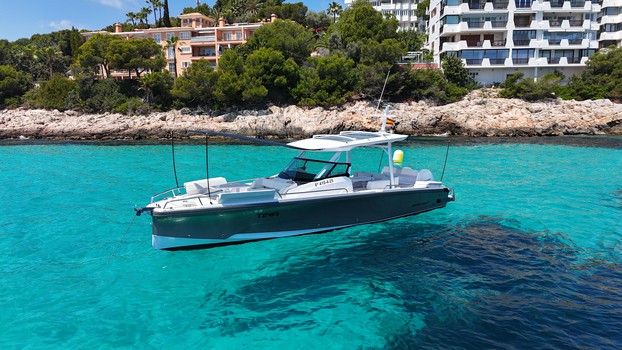 TINA VIII