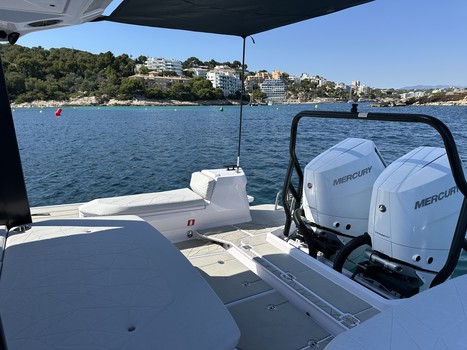 CALANOVA VIII