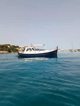 Aquila