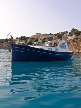 Aquila
