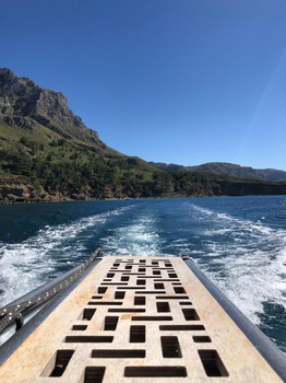 Sailing pasarela popa