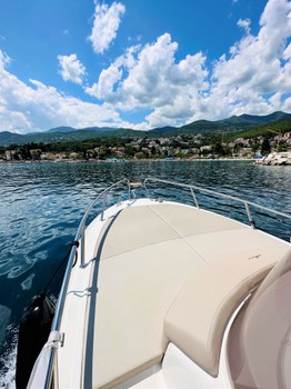 MINGOLLA BRAVA 22 WA