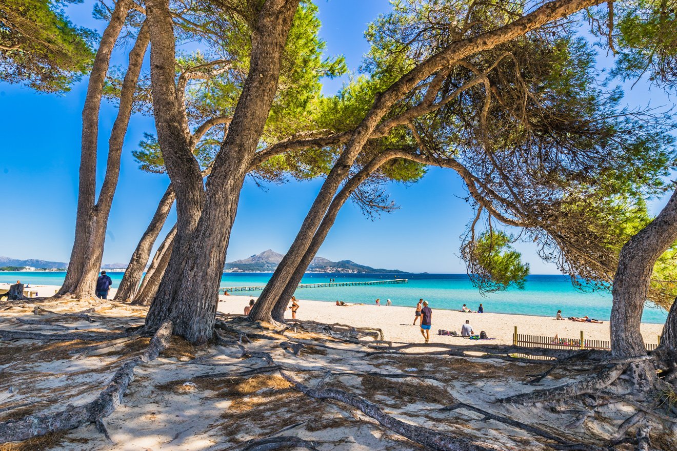puerto-alcudia-mallorca.jpeg